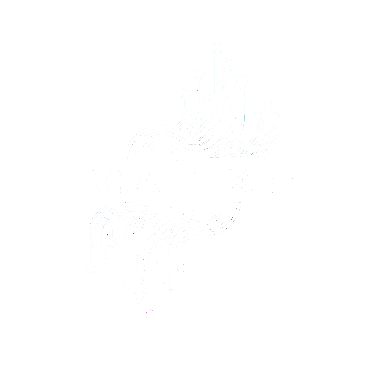 MATEK IT